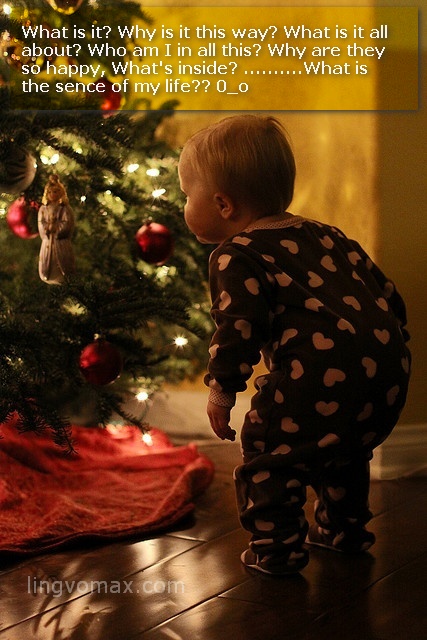 baby, Christmas tree